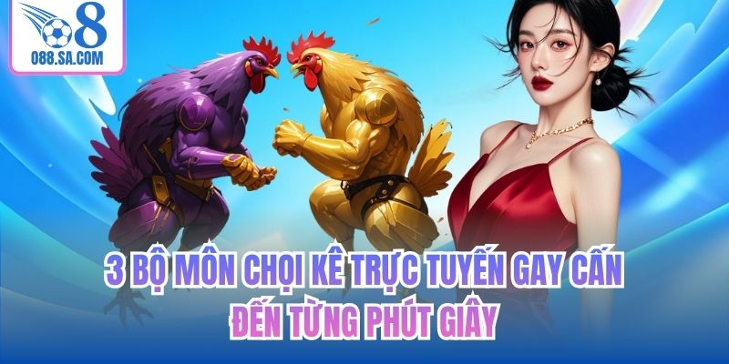 3 bộ môn chọi kê trực tuyến gay cấn đến từng phút giây